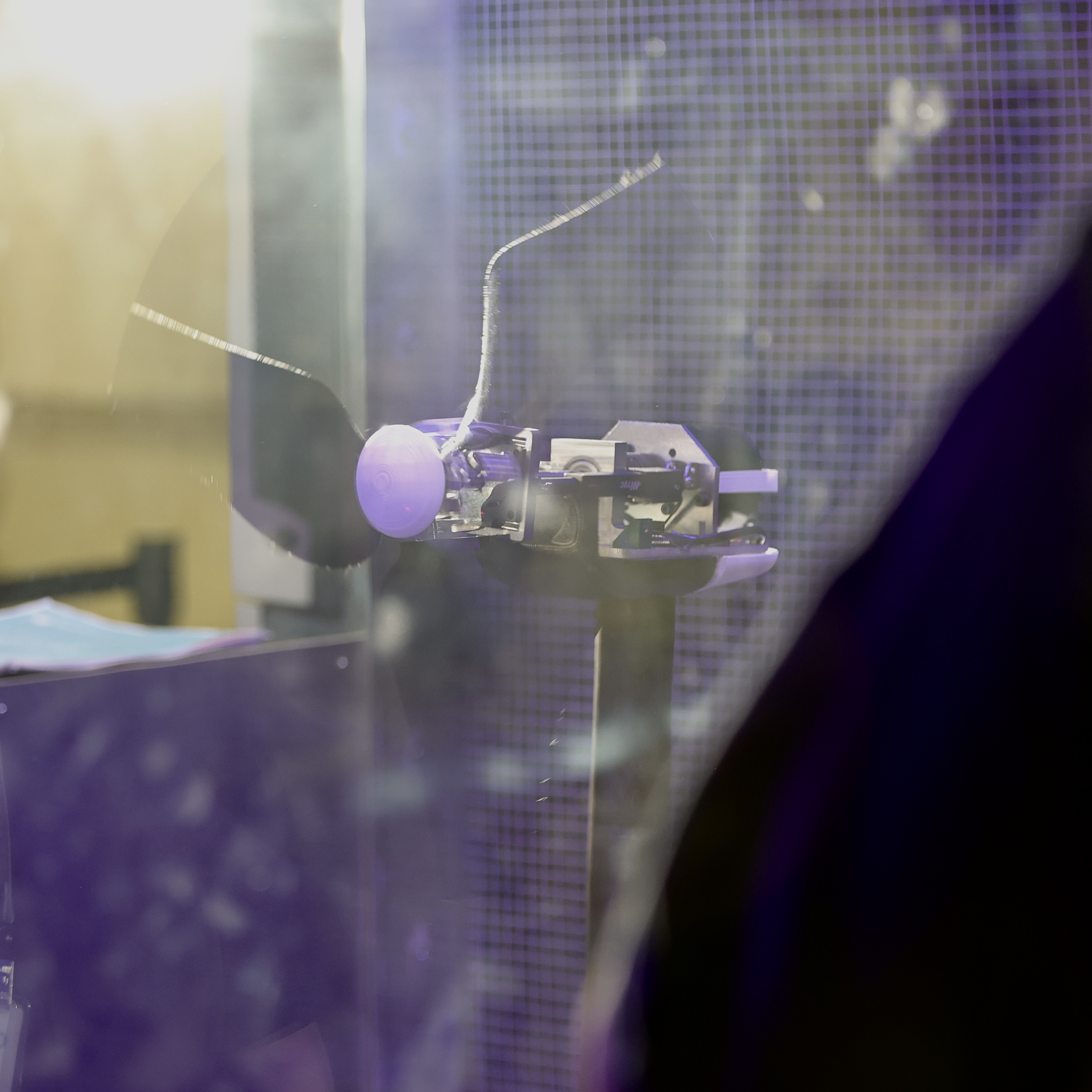 Cal Poly Wind Power's wind turbine spinning in the wind tunnel at competition.